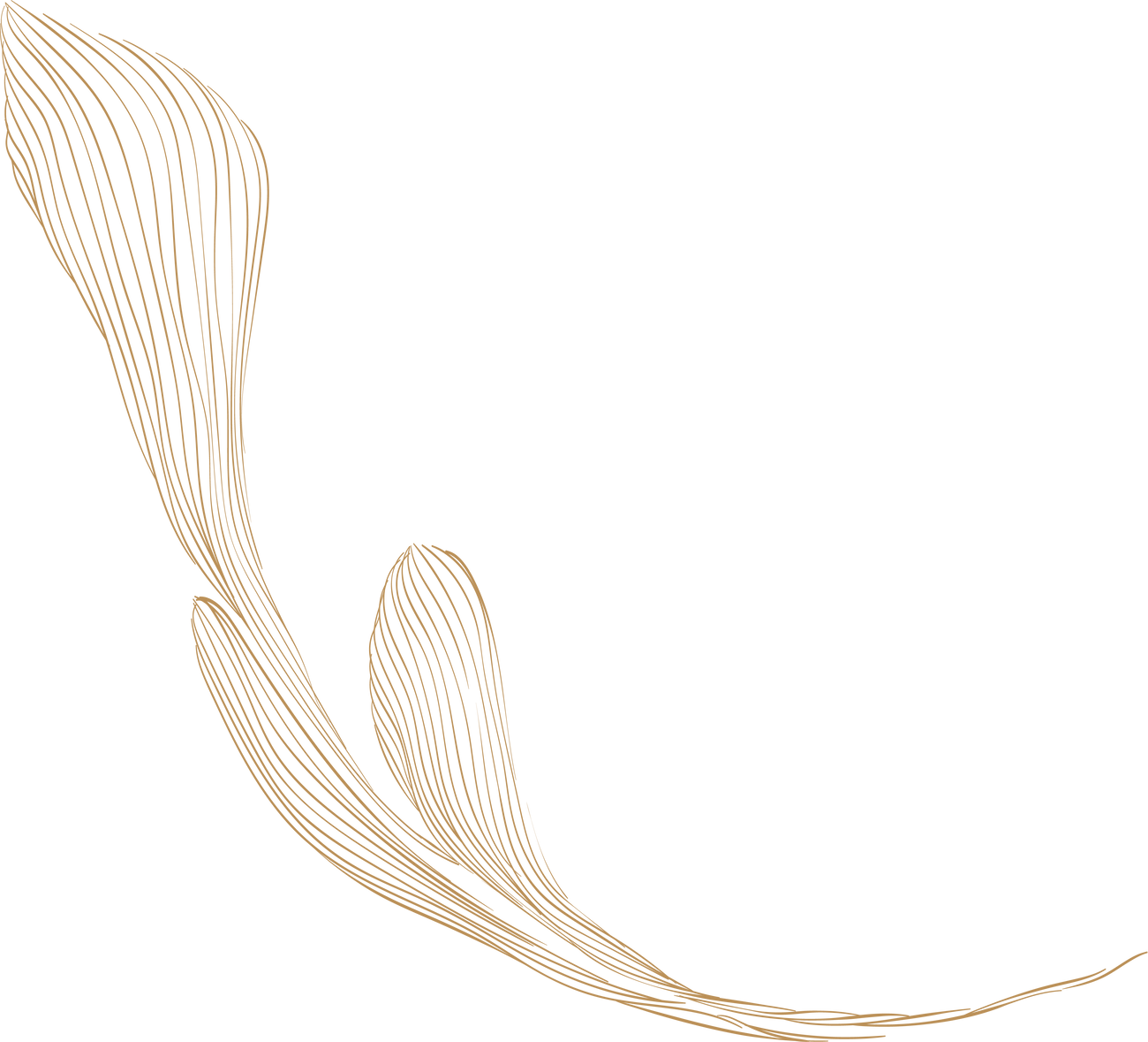 Gold Elegant Flower Line Art Element